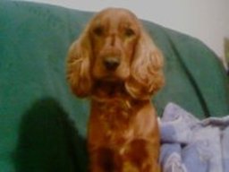 max_20211130_1970760554